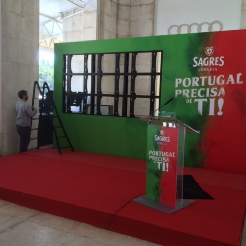 federaçao portuguesa de futebol